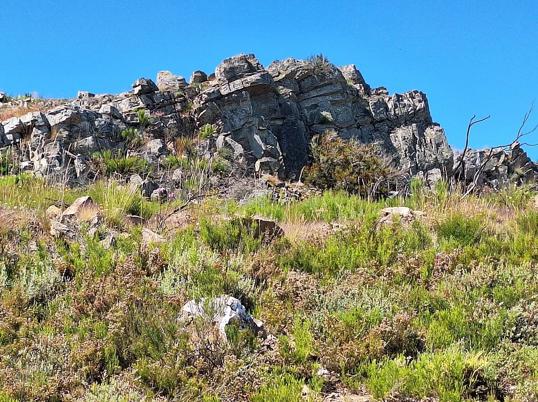 La Casa El Arroyo
