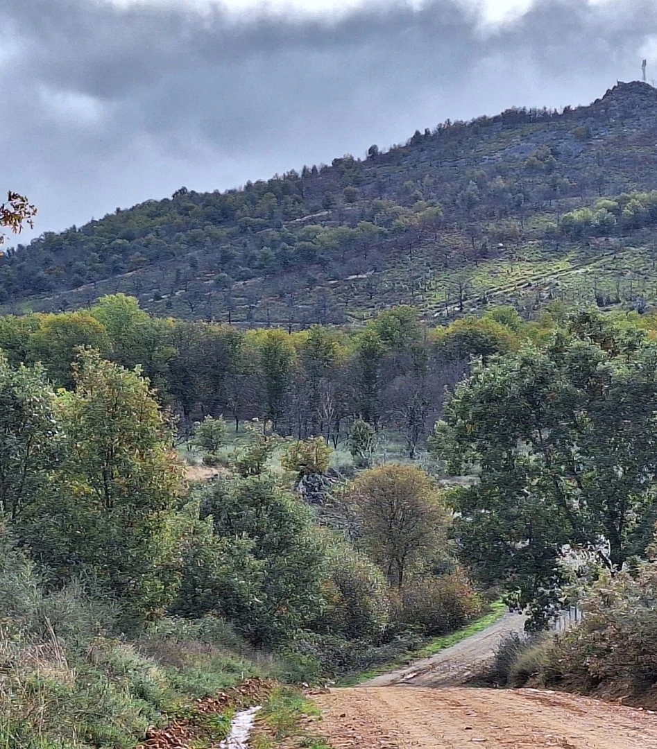 La Casa El Arroyo